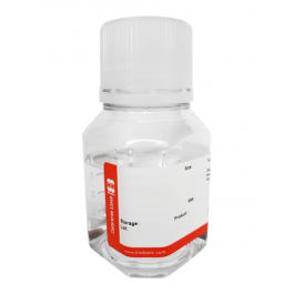 Coomassie brilliant blue R-250 2 xSolution