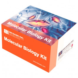 Reversible Copper Stain Kit (Protein Stain-EZ C), 10prep