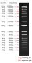 1Kb Plus DNA Ladder, Ready-to-use