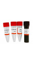 SARS-CoV-2 RT-PCR Detection Kit (COVID-19), 500 Rxns