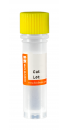 Taq Plus DNA Polymerase, 5u/ul