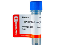 dNTP mixture