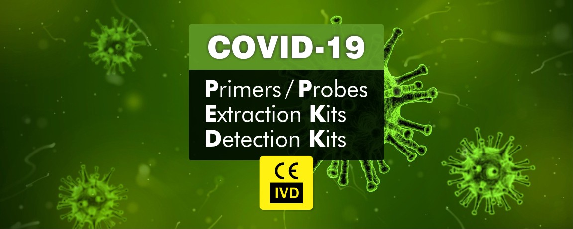 COVID-19 primers, probes and detection kits CE-IVD Certified Marking, Omicron B.1.1.529 Variant