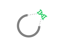 Vector insertion