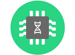 Gene on a chip